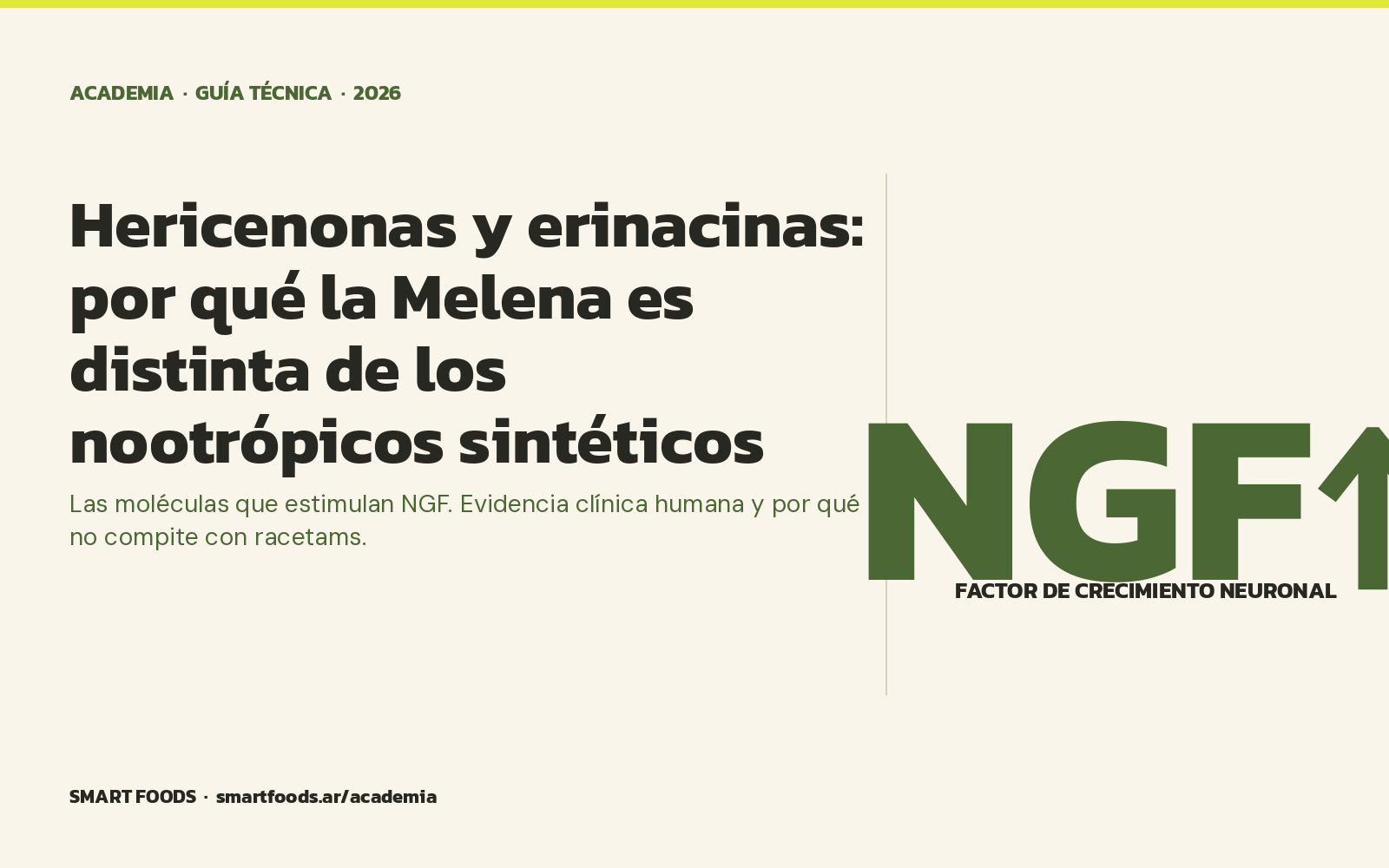 Hericenonas y erinacinas: por qué la Melena de León es distinta de los nootrópicos sintéticos — Smart Foods Academia