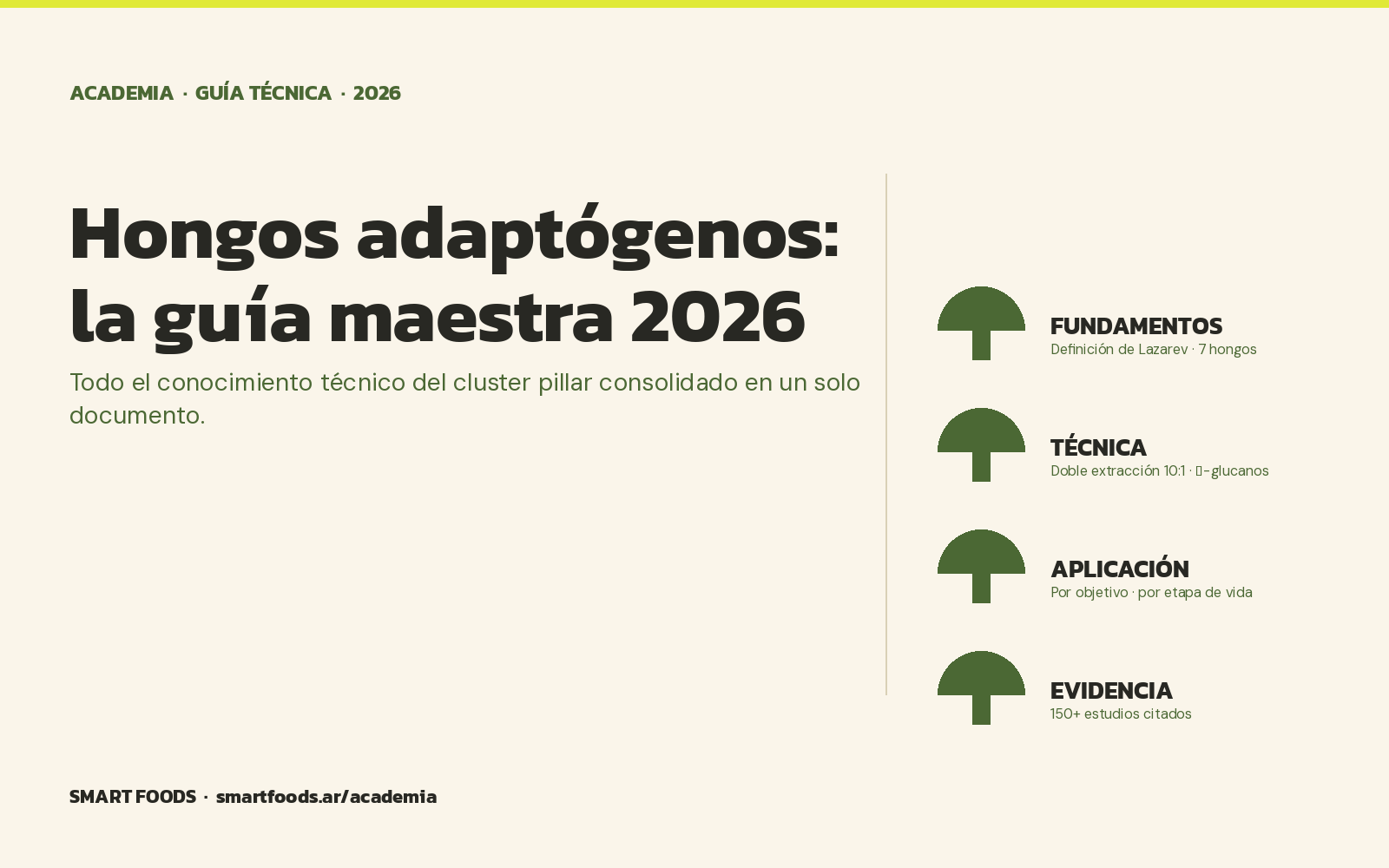 Hongos adaptógenos: la guía maestra 2026 — Smart Foods Academia